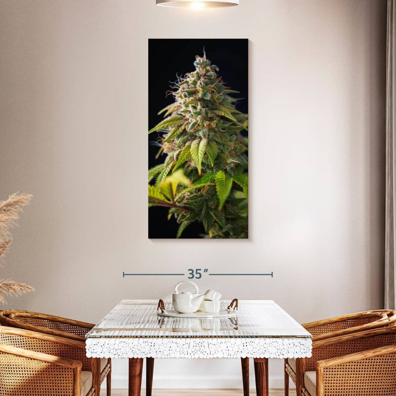 Cannabis Buds