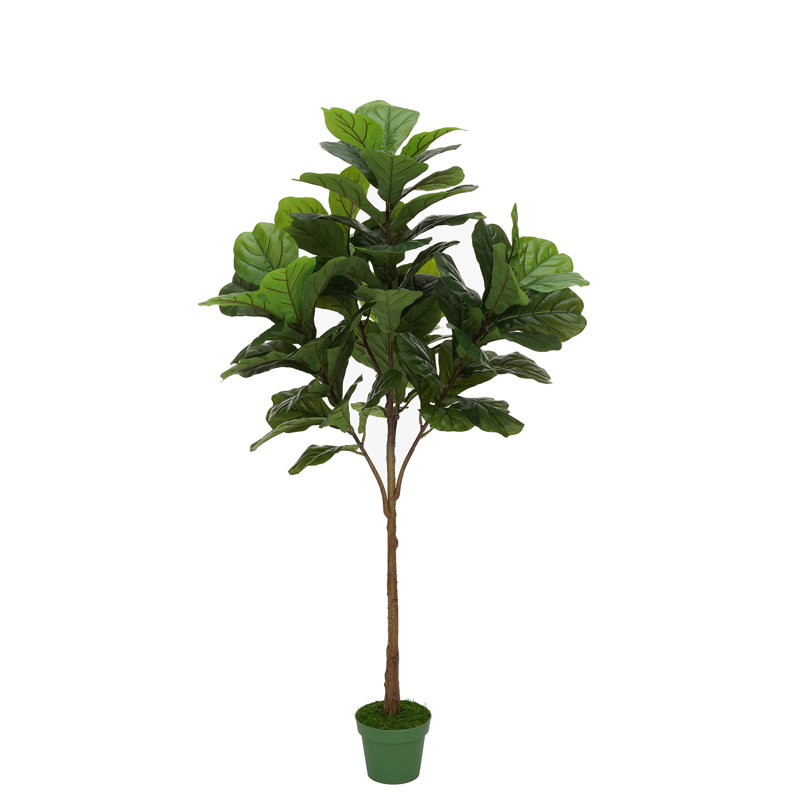 Figuier à feuilles artificielle en pot, H 70 po x l 30 po x P 30 po