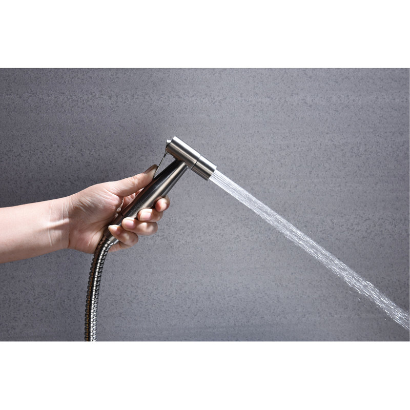 Toilet Bidet Handheld - Rust-, Two Water Spray Modes, Quality Metal, Silver Hue Silver, Patterns, Hygiene Aid, Silver