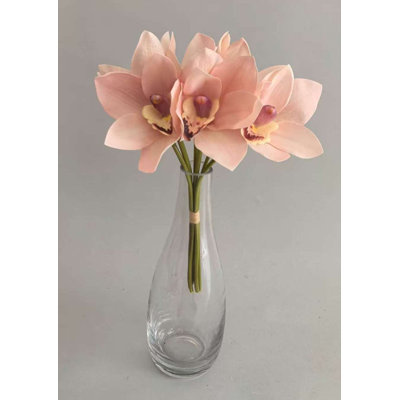 CYMBIDIUM X6 10 po