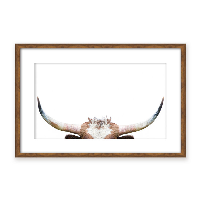 Nature Inspired Peeking Longhorn Cow by  - Picture Frame Photograph on Paper, 16" H x 24" W x 1.125" D, Black
