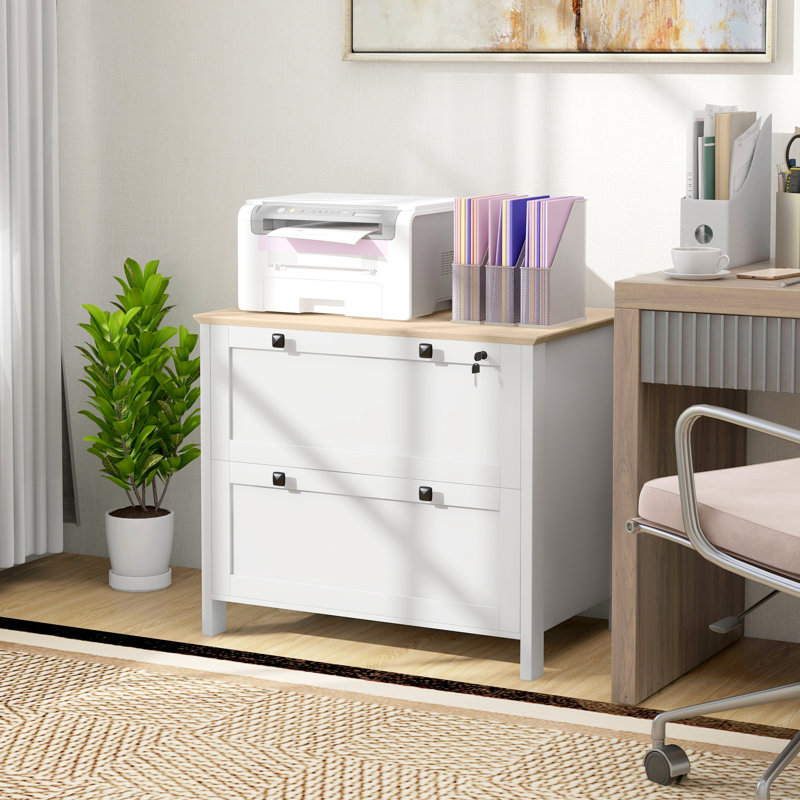 Sohani 31.1'' Wide 2 -Drawer File Cabinet, White