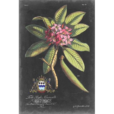Dramatique royal botanique V