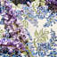 Nappe Kappa-86865976-86865975