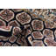 Tapis traditionnel couleur Kelayeh