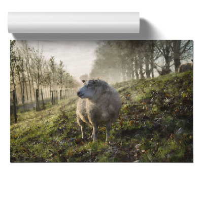 Woolly Sheep - No Frame Print