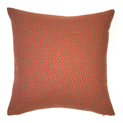 Feather Reversible Throw Pillow