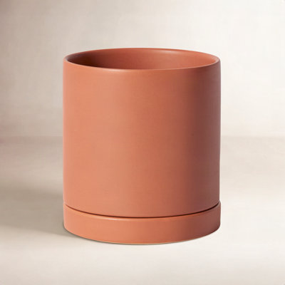 Carlotta Ceramic Pot Planter