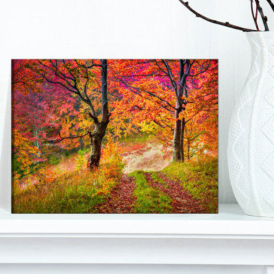 Paysage, arbres d'automne, photographie sur toile - Arbres d'automne colorés