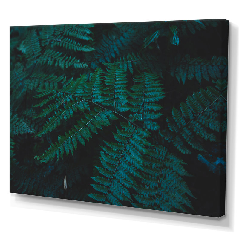 Brownies vert foncé - photographie sur toile, H 40 po x l 60 po, Toile tendue
