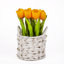 Bouquet de tulipes dans un panier blanc-635571362-635571363