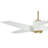 60" 4 - Blade LED Standard Ceiling Fan with Remote Control and Light Kit Included