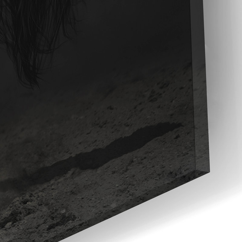 «Onyx» par PhotoINC Studio, H 12 po x l 16 po