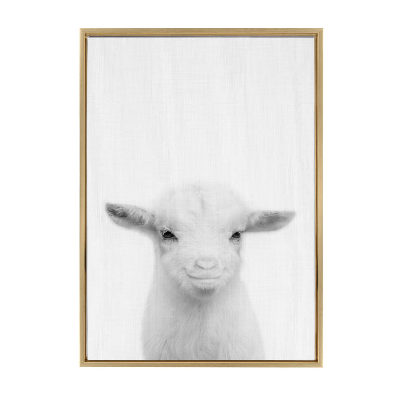 «Goat» par Simon Te, reproduction d'art sur toile encadrée, Cadre doré