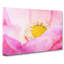 Pink Flower - Wrapped Canvas Painting-56637837