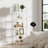 Sylvius Bookcase-528477368-480260579