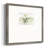 " Whimsy Of One "-1952785865-1982681156
