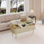 39.37'' W Oval Lift Top Coffee Table With Storage-1667876210