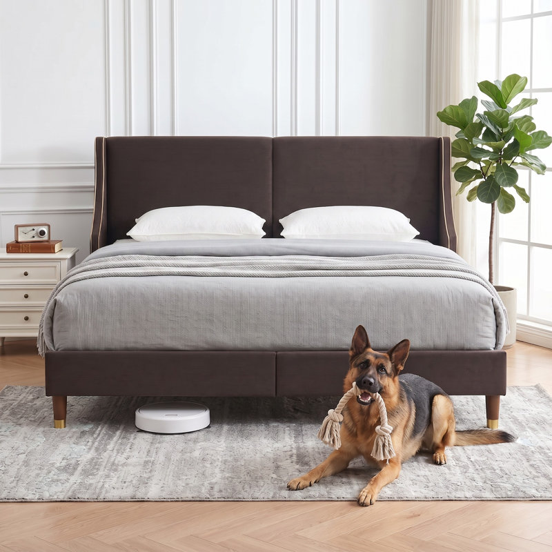 Melaya Elegant Wingback Upholstered Platform Bed Frame – Luxurious Design with Gold Piping, Sturdy Support, and Easy Assembly in Full & Queen Sizes