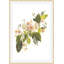 Blackberry Blossom 1 Print-408743491
