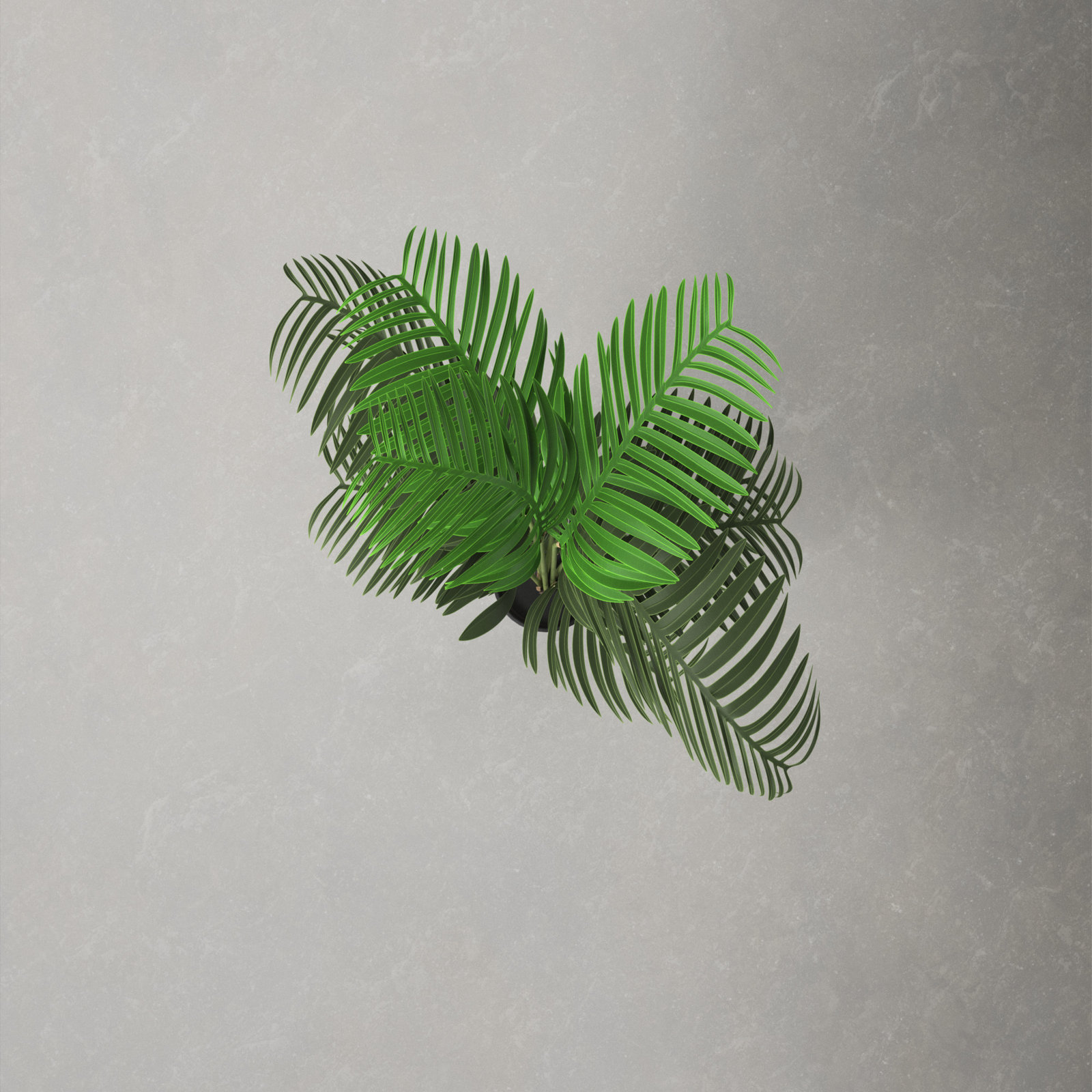72" Palm Tree in Pot, 56" H x 32" W x 32" D