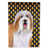 Bearded Collie (Brown and White)