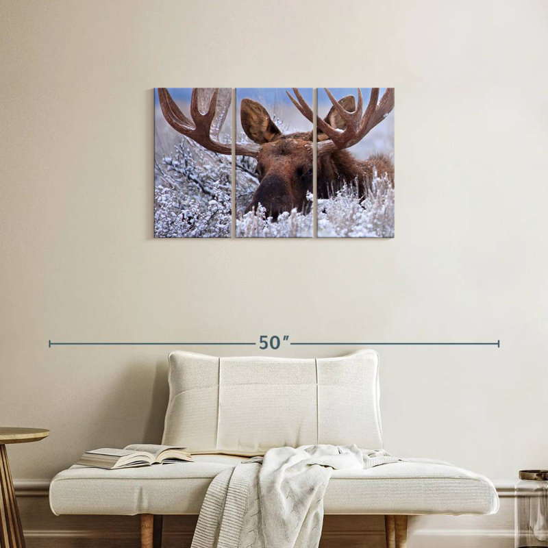 Hiding Moose, 20" H x 33" W