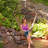 Artesha 1 Person Chair Hammock-326828599