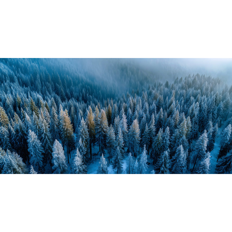 Art mural doré sur toile forêt givrée, H 24 po x l 48 po