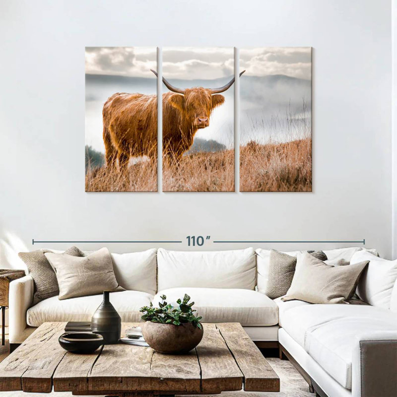 Vache Highland en Écosse, H 48 po x l 74 po