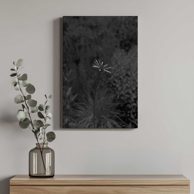 Impression sur toile «Coneflower I» par Tony Smith