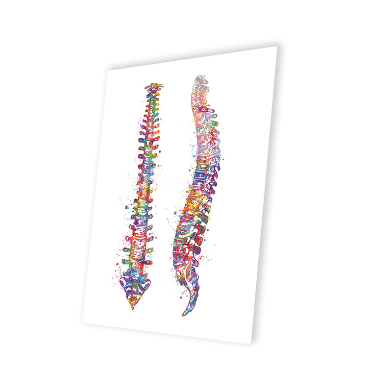 «Spinal Cord II», reproduction sur verre acrylique, H 24 po x l 16 po x P 0,25 po