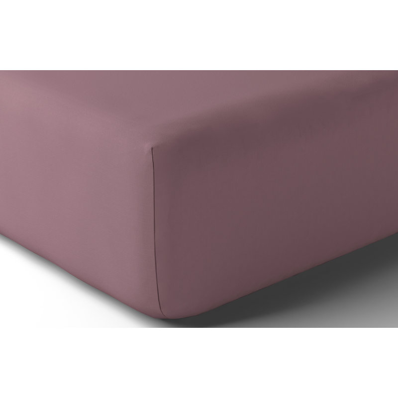 Vexin 100% Cotton Percale Fitted Sheet, King, Iris
