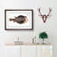 Knitted Trunk-Fish by M.E. Bloch - Picture Frame Graphic Art Print-55609673-55609674