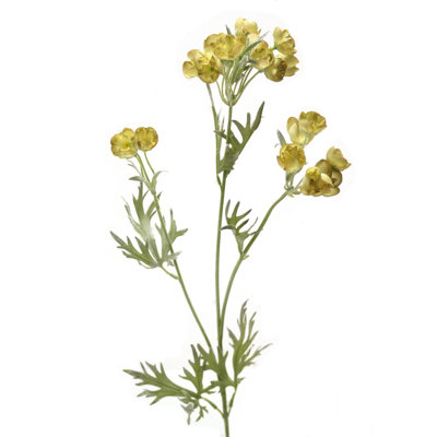 Helleboure avec tige floquée