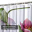 Rideau de douche avec 12 crochets Watercolor Hellebore-1149453048
