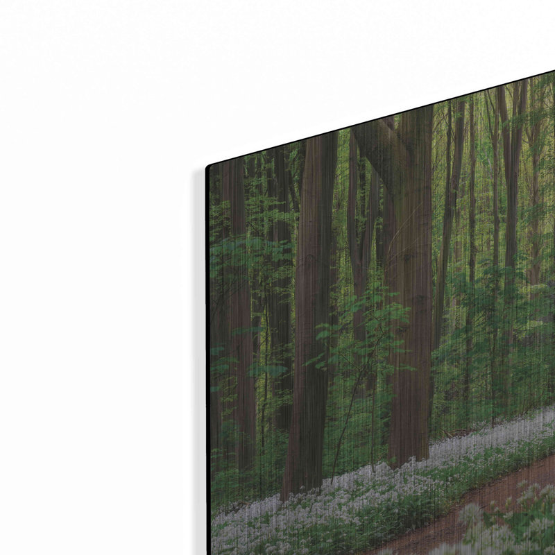 «White Carpet» par Martin Podt, art mural en métal, H 12 po x l 16 po