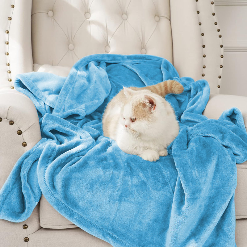Couverture en molleton grand - 300 g / m², Grand lit, Bleu clair