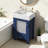 20.2" Bathroom Vanity with Glass Door-1681519680