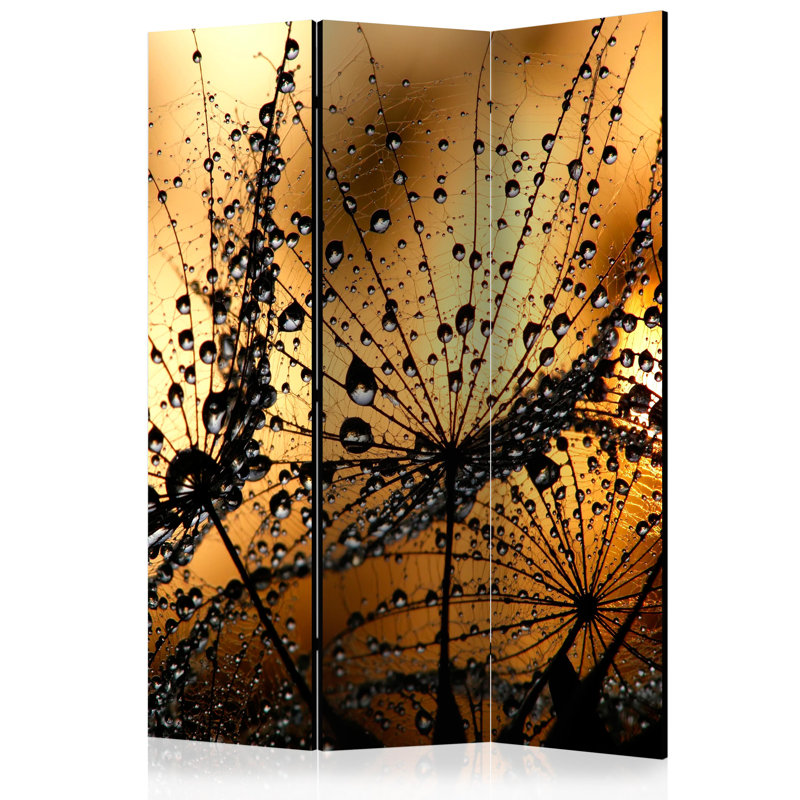 Orona Solid Wood Folding Room Divider, 3