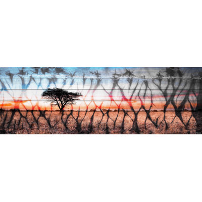 " African Landscape " by Parvez Taj