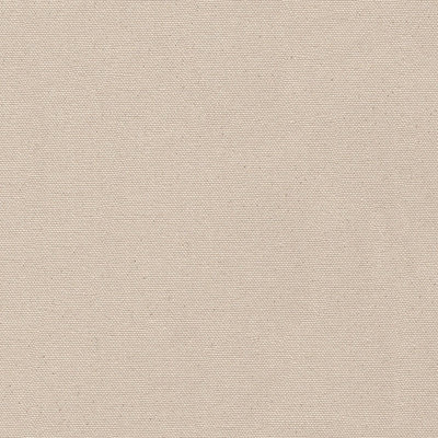 Tissu non traité