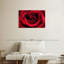 Gouttelettes sur une rose rouge-858553173