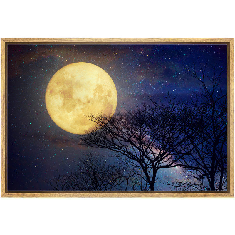 «Bare Branches Under The Full Moon In The Starry Sky - Floater Frame», impression sur toile, H 24 po x l 36 po x P 1,5 po