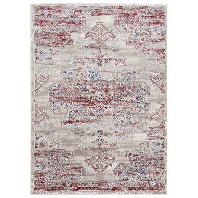 Leeya Oriental Indoor Rug