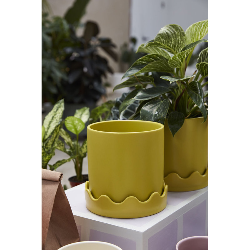 Winterview Pot with Saucer 7.5"x 7.25", Yellow, 7.25" H x 7.5" W x 7.5" D