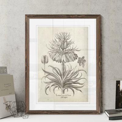 «Fresco Crown Imperial III» par Paul Cezanne - reproduction d'art encadrée