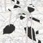 Papier peint canopée-138796876-138907901