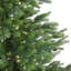 Green Most Realistic Artificial Fir Christmas Tree with LED Color Changing Lights-1012462003