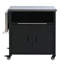 Chariot de barbecue pliable pour l'extérieur-659257306-659257307